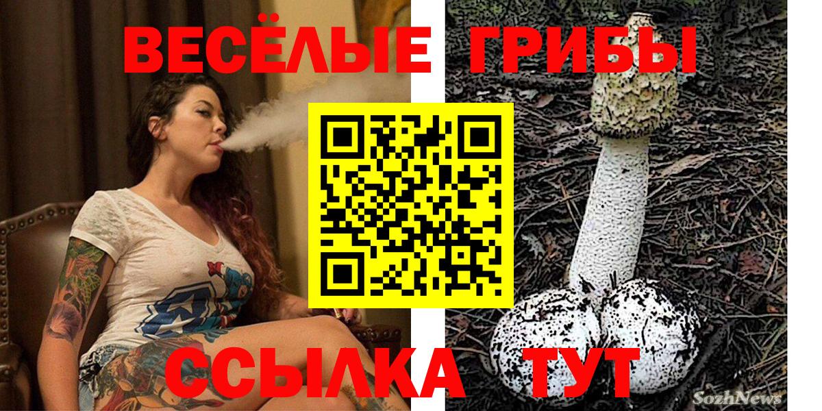 Галлюциногенные грибы Magic Shrooms Дзержинский